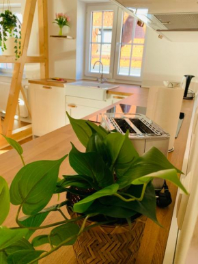 Traumwohnung - direkt am Marktplatz